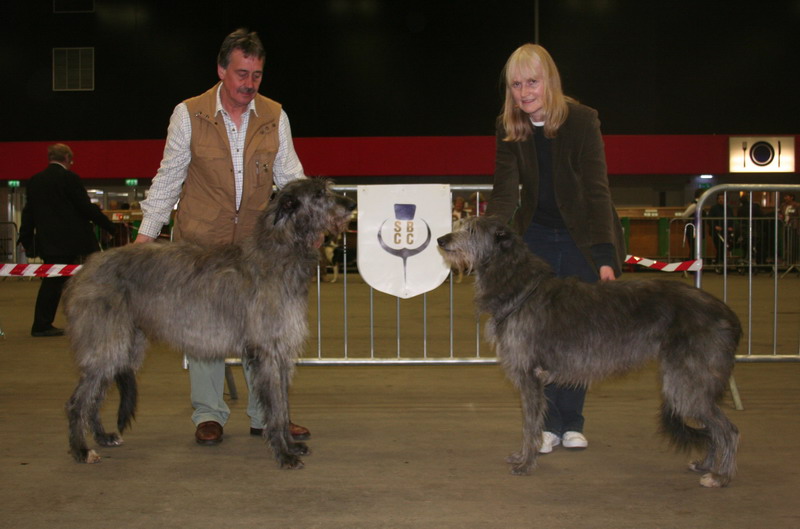 Reseve CC winners Scottish Breeds 2011